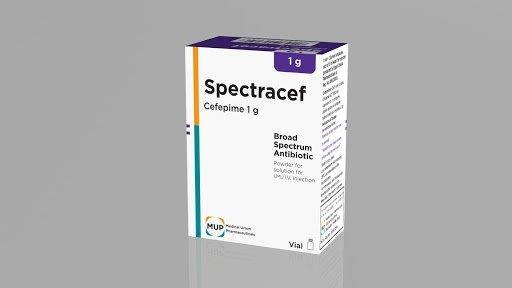 Spectracef 1gm I.M/I.V vial - Order Now | Vezeeta Pharmacy