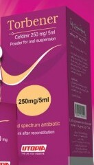 torbener 250/5ml syrup
