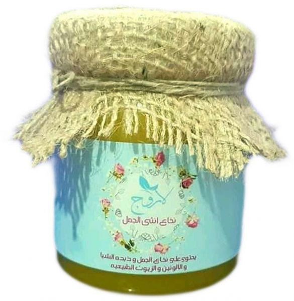 نخاع انثى الجمل