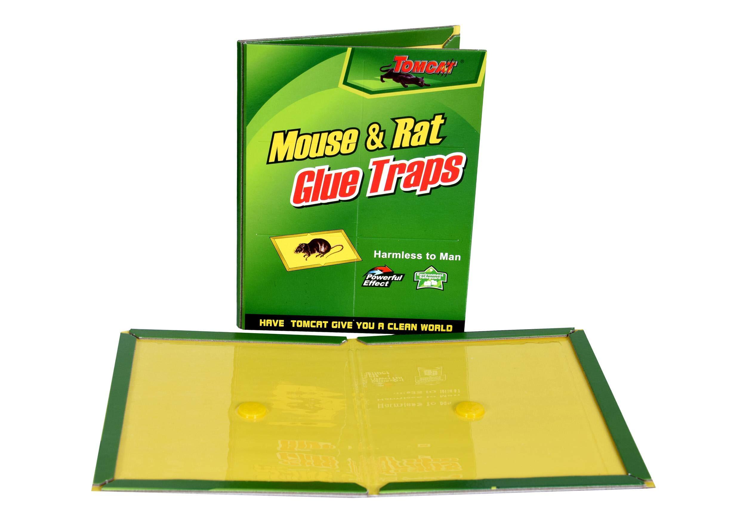 ماوس لزق فئران كشكول